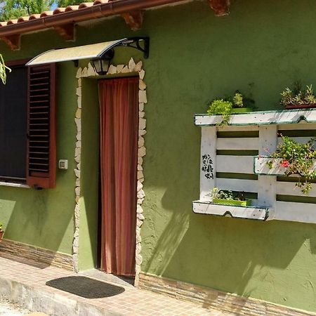 Appartamento Il Salice Casa Minnina Εξωτερικό φωτογραφία